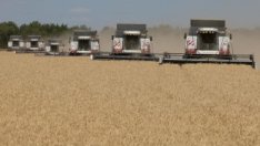 Гиганти в земеделието остават в Русия въпреки призивите да се изтеглят