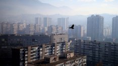 Зелените енергийни цели на ЕС може и да са опасни за здравето на хората