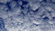 Германия се отказва от целите за климата, които трябва да постигне към 2020 г.