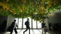 Royal London: Енергийната криза може да нанесе краткосрочен удар върху ESG целта