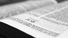 Фирми могат да получат средства за дуално обучение