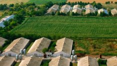 &bdquo;Градус&ldquo; ще плати дивидент от 0,026 лв. на акция за полугодието