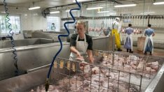 Краят на имиграцията от ЕС ще преоформи британската икономика