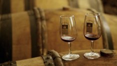 Лошата реколта накара производителите в Бордо да намалят цените на виното