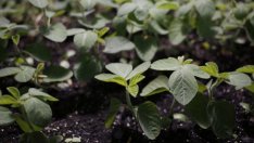 Реформата в ОСП започва с добри намерения и завършва с битка за пари