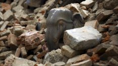 Щетите от земетресението в Непал може да достигнат 5 млрд. долара