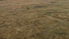 Вяло начало на годината за „Елана Агрокредит“