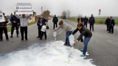 Ниските изкупни цени на млякото изкараха производители на протест