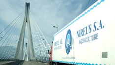 Как гръцките фирми страдат от слабите закони