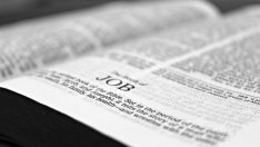 Заетостта сред хората между 55 и 64 години се увеличава