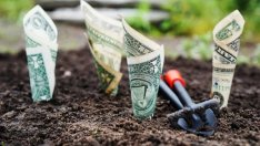 Парламентът ще избира председател на антикорупционния орган