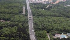 В Закона за устройство на Столична община се променя понятието "зелена система"