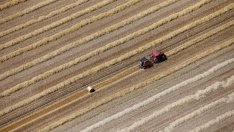 Николай Каварджиклиев  поема ДФ "Земеделие"