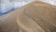 Китай е най-големият вносител на украинско зърно