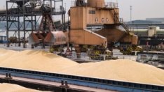 Глобалните разходи за внос на храни ще достигнат рекорд тази година