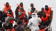 Експерти очакват повече мигранти в българските води на Черно море