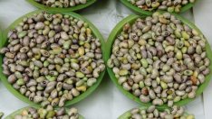 Храните на едро поскъпнаха с 9% за месец и половина