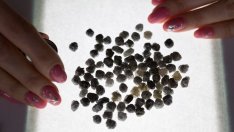 Белгия започва кампания срещу "руските кървави диаманти"