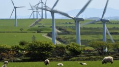 Повече от половината енергийни субсидии в ЕС отиват за ВЕИ