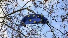 Енергийната ефективност: Поредният писък на европейския социализъм