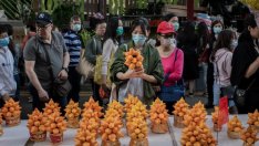 Китай забрани търговията с диви животни, над 2000 са заразените в света