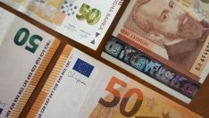 Меглена Плугчиева: Влизаме в еврозоната в най-неподходящия момент