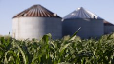 Как българските фермери ще намалят използваните торове заради Зелената сделка?