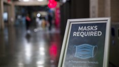 Pfizer: Covid може да стане ендемичен до 2024 г.