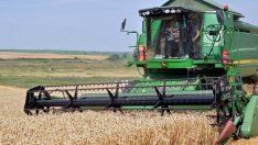 Програмата за селските райони ще е отворена за производителите на билки