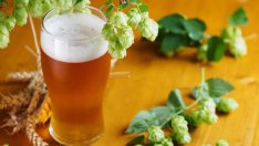 Инвестициите на пивоварните у нас достигат 57 млн. лева през 2023 г.