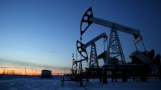 Н. Шуманов: Коронавирусът засегна най-вече износа на петрол от Саудитска Арабия и Иран