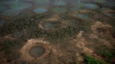 Малката климатична революция на американския гражданин