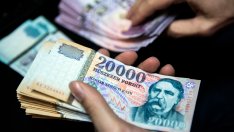 Залозите върху Източна Европа се отплащат: Форинтът и злотата поскъпват тази година