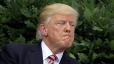 Тръмп и неговата Twitter демокрация на моркова и тоягата