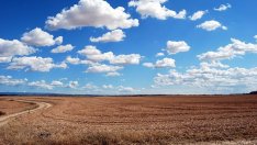 Търсенето на земеделска земя в Добричкия регион е 2 пъти по-голямо от предлагането