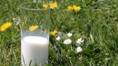 Подготвят наръчник за добри практики при производство на фермерско сирене