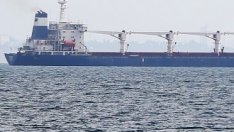 Връщането на износа на украинско зърно на нивата преди войната може да отнеме месеци