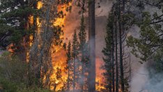 Нуждаем се от нови инструменти за оценяване на климатичните рискове