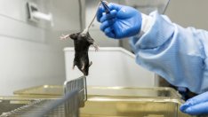 За силата на самоизпълняващите се пророчества