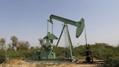 Цените на петрола продължават да се понижават след срива си в четвъртък