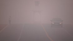 По-вредни ли са електромобилите за околната среда от дизеловите коли?