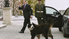 Енда Кени - новият стар премиер на Ирландия