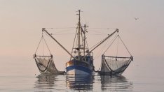 Как една публикация в Linkedin спаси риболовец от фалит