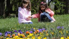 За година населението на България е намаляло с близо 50 хил. души