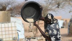 Устойчив ли е спадът в цените на хранителните продукти?