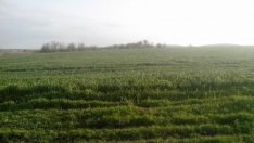 „Адванс Терафонд“ купи земеделска земя през декември за рекордните 1045 лв./дка