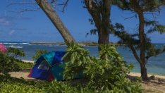 Екоминистърът: Трябва да има регламенти за дивото къмпингуване