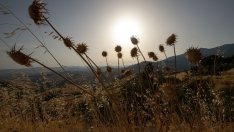 По-тежки и по-чести суши, наводнения и пожари очакват Европа това лято