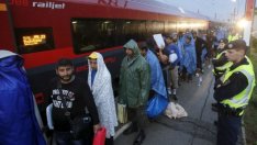 Австрия заплаши да съди Унгария заради бежанците