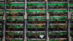 Стейбълкойните се възползват от крипторазпродажбите, за да блеснат